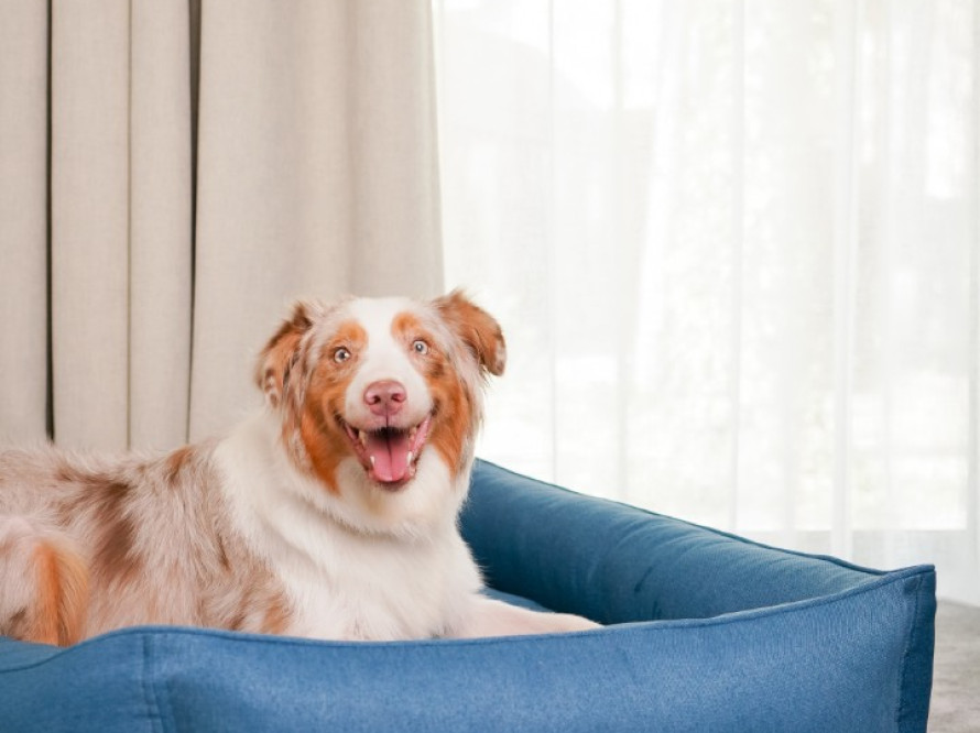 Лежак для собаки Sofa Denim Лежак для собаки Sofa Denim
