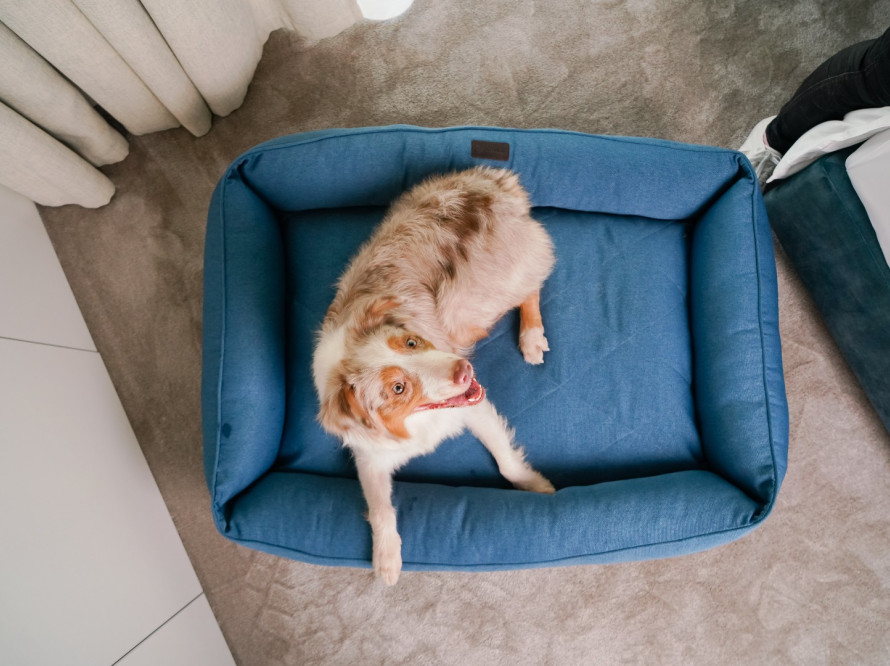 Лежак для собаки Sofa Denim Лежак для собаки Sofa Denim