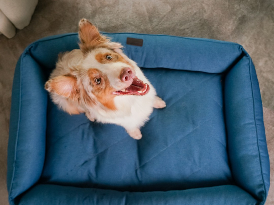 Лежак для собаки Sofa Denim Лежак для собаки Sofa Denim