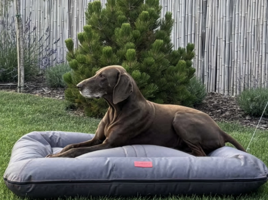 Двухсторонний лежак-понтон Lounger Gray Waterproof Двухсторонний лежак-понтон Lounger Gray Waterproof