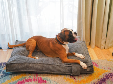 Подушка Memory Foam Gray
