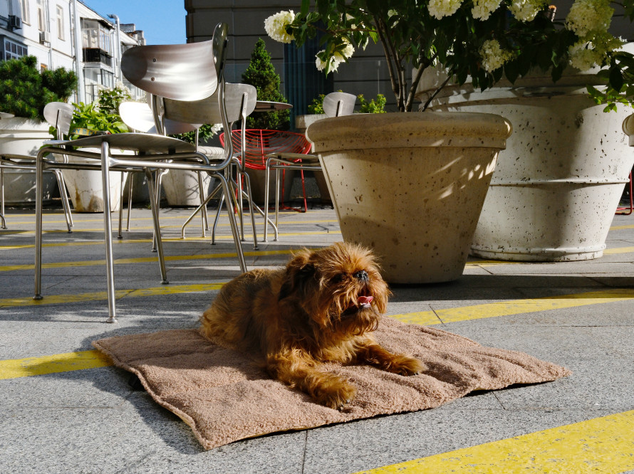 Килимок для собак Urban Fur Mat Brown