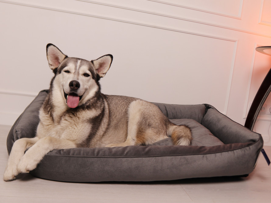 Лежак для собаки Sofa Velour Graphite
