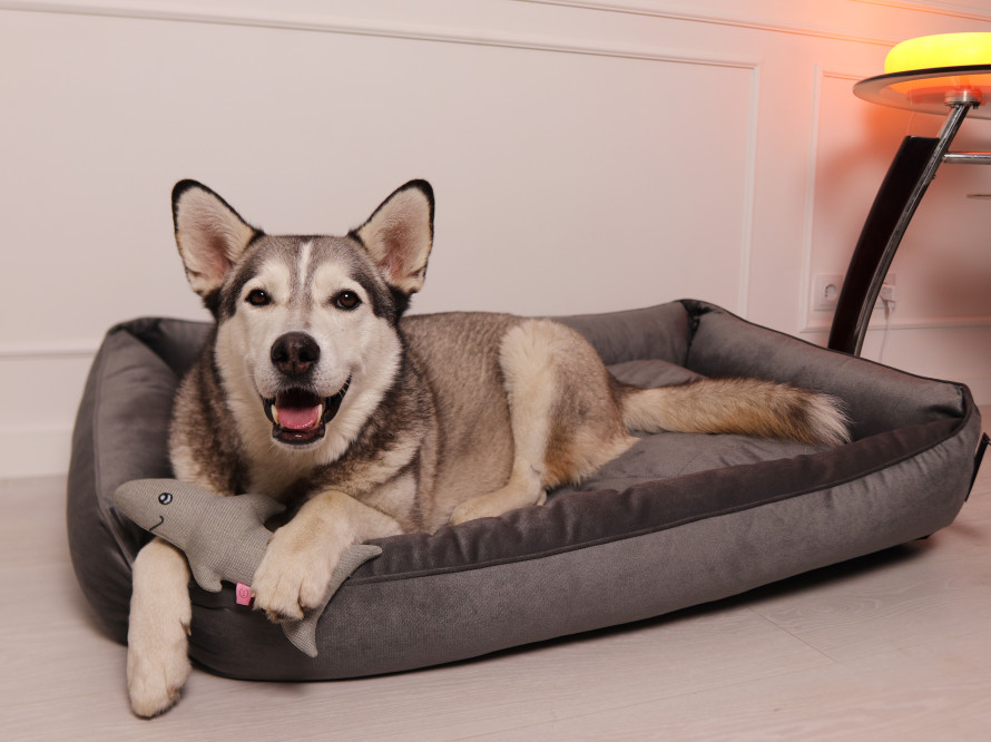 Лежак для собаки Sofa Velour Graphite