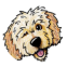 Thedoodnelo