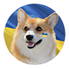 Agrus_zest_in_smile